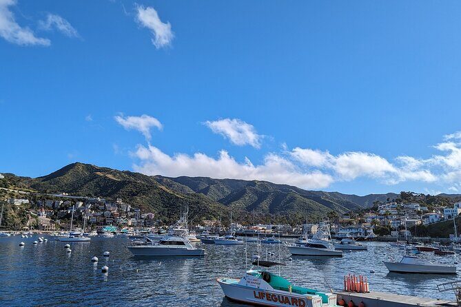 Catalina Scavenger Hunt Walking Tour and Game - Practicalities and Tips