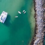 Catamaran Sailing and Snorkel Tour - What Travelers Say and Why It Matters