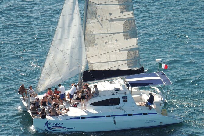 Catamaran to Isla Mujeres: Snorkel MUSA, Playa Norte & Buffet - Who Should Book This Tour?