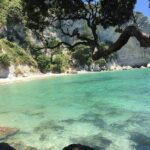 Cathedral Cove Day Trip from Auckland - Who Should Consider This Tour?