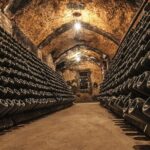 Cavas Freixenet Wine Tour from Mexico City - Exploring the Full-Day Experience