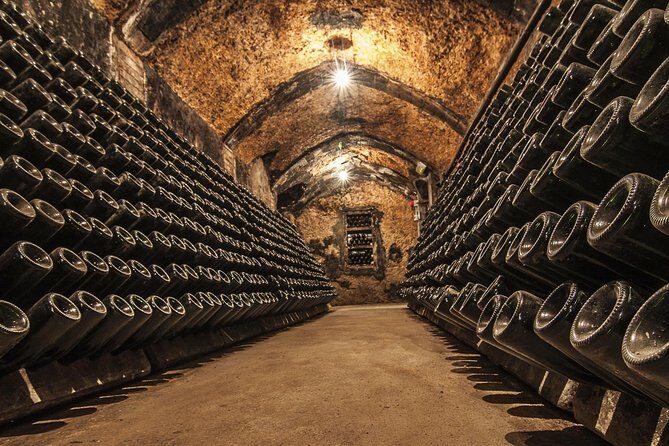 Cavas Freixenet Wine Tour from Mexico City - Exploring the Full-Day Experience