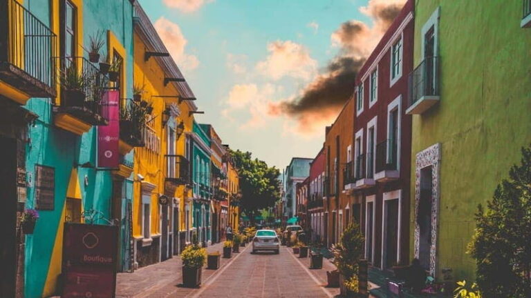 CDMX: Neighborhoods Contrasts Private Tour - What It Feels Like to Be on This Tour