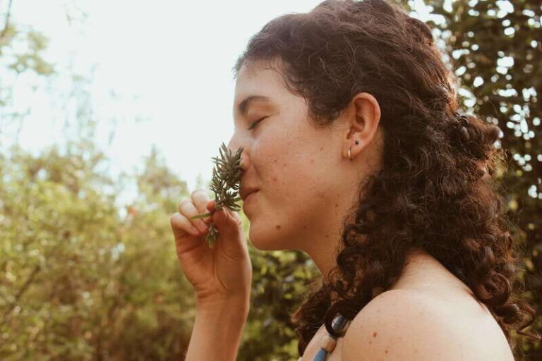 CDMX: TEMAZCAL Healing & cleansing ceremony ritual zapoteco - The Itinerary Breakdown