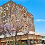 CDMX: Tour of Xochimilco and Coyoacán with option to visit the Frida Kahlo Museum - What’s Included and What You Should Know