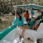 Celestun Beach and Mangrove Boat Ride from Merida - The Meeting Point and Departure