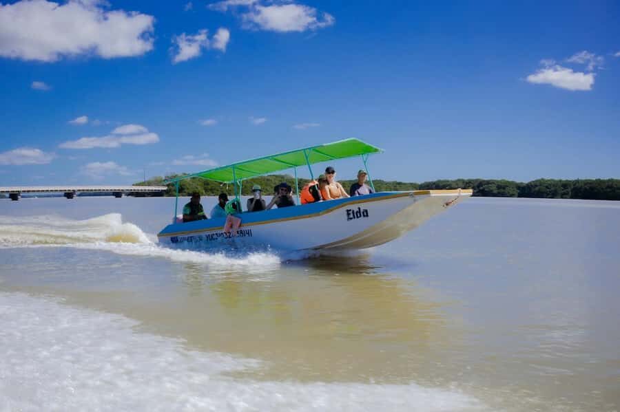Celestún Flamingos, Beach, and Seafood Tour, leaving from Merida - What’s Included & What’s Not