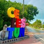 Celestun Flamingos Beach & Seafood Tour departure from Merida - Timing and Practicalities