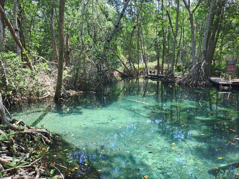 Celestun + Lunch, Boat Ride & beach time. - The Boat Ride Experience
