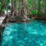 Celestun mangrove boat tour from Mérida - The Downsides and Considerations