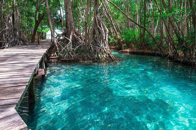 Celestun mangrove boat tour from Mérida - The Downsides and Considerations