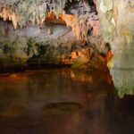 Cenote and Akumal Snorkel - Why This Tour Stands Out
