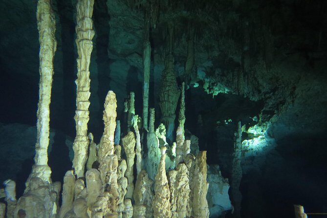 Cenote diving Dream Gate - What the Reviews Say About the Experience