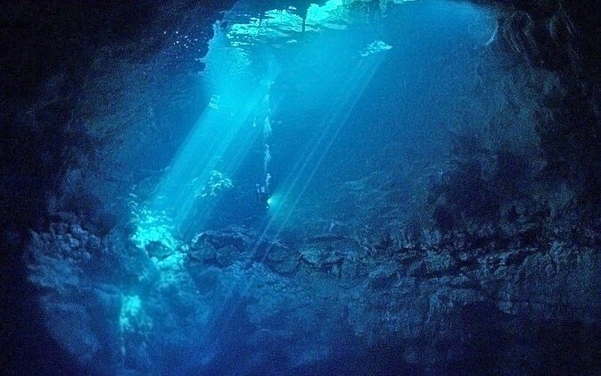 Cenotes 2-Tank Dive in Playa del Carmen/for certified divers only - What to Expect from the Cenote 2-Tank Dive Experience