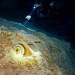 Cenotes diving from Riviera Maya - The Dive Itinerary and What to Expect