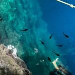 Cenotes, Pink Waters and Chichén Itzá in Tizimin Yucatán México - What’s Included and What’s Not