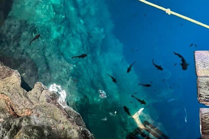 Cenotes, Pink Waters and Chichén Itzá in Tizimin Yucatán México - What’s Included and What’s Not