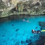 Cenotes Tour: Discover Hidden Gems, from Playa del Carmen - What to Expect from the Riviera Maya Cenotes Tour