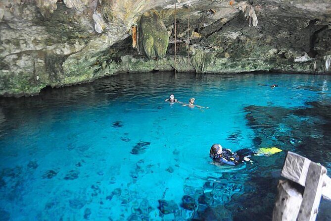Cenotes Tour: Discover Hidden Gems, from Playa del Carmen - What to Expect from the Riviera Maya Cenotes Tour