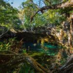Cenotes trail jungle bike tour in Tulum with lunch - The Value of the Tour