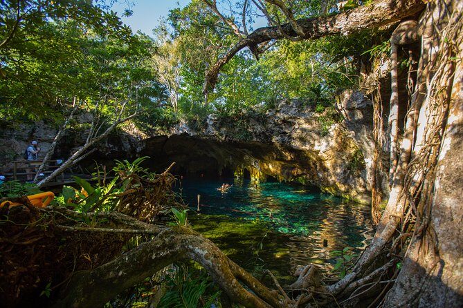 Cenotes trail jungle bike tour in Tulum with lunch - The Value of the Tour