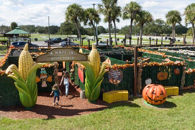 Central Florida Adventure Park - Authentic Dude Ranch Experience - The Setting: Scenic and Spacious