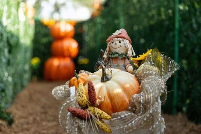 Central Florida Haunted Hayride - Final Thoughts