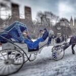 Central Park and NYC Horse Carriage Ride - Who Is This Tour Best For?