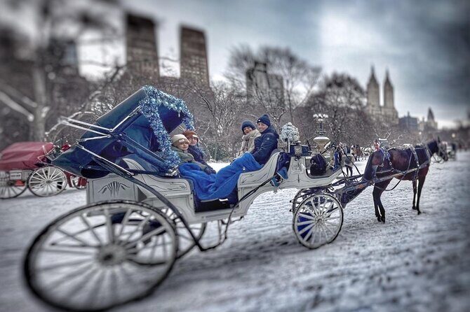 Central Park and NYC Horse Carriage Ride - Who Is This Tour Best For?