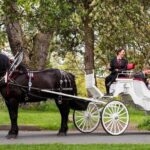 Central Park and NYC Private Horse Carriage Ride - The Stops and Sights
