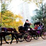 Central Park Horse Carriage Ride Short Loop (Up to 4 Adults)) - The Guides and Customer Service