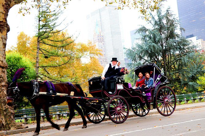 Central Park Horse Carriage Ride Short Loop (Up to 4 Adults)) - The Guides and Customer Service