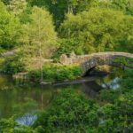 Central Park Movie Locations Pedicab Tour - Who Should Consider This Tour?