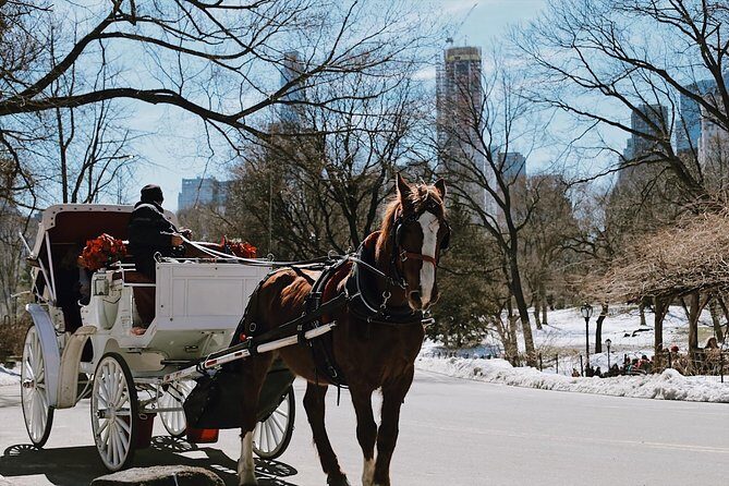 Central Park New York - Exclusive Guided Walking Tour - The Stops That Make This Tour Special