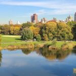 Central Park, NYC: Private Bike Tour and Luxurious Picnic - Final Thoughts: Is It Worth It?