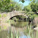 Central Park Pedicab Guided Tours with Theater - FAQs