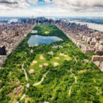 Central Park Private Walking Tour with Transfers - The Benefits of Different Options