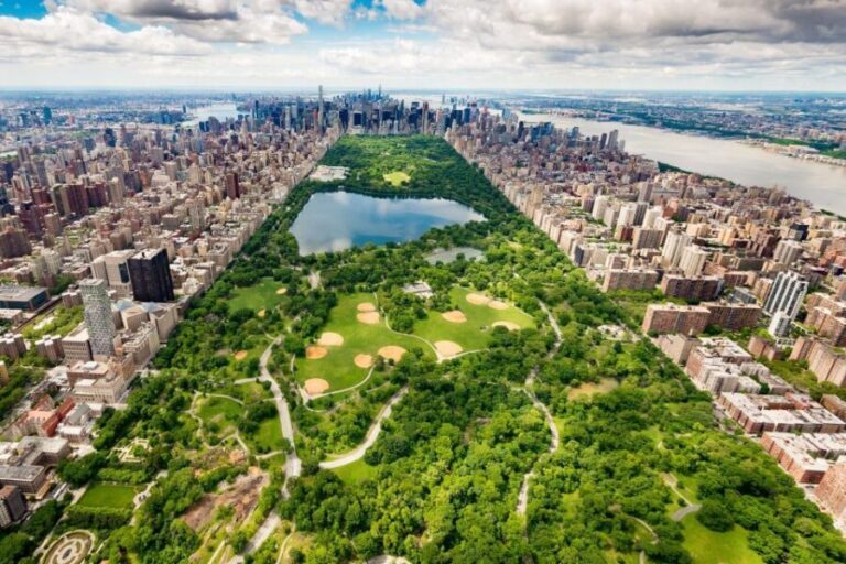 Central Park Private Walking Tour with Transfers - The Benefits of Different Options