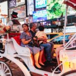 Central Park, Rockefeller & Times Carriage Ride (4 Adults) - What Do Reviews Say?