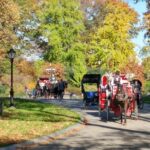 Central Park Scandal and Vice Tour - The Practical Side: Cost, Group Size, and Accessibility