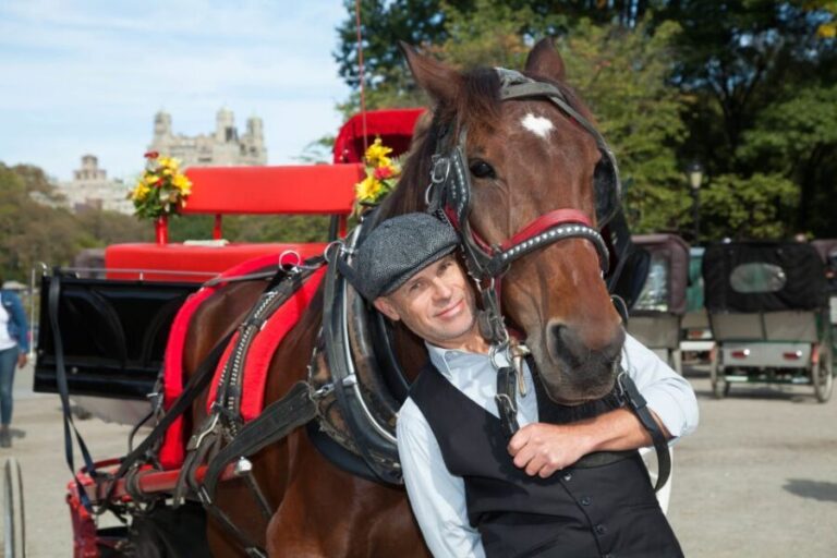 Central Park: Short Horse Carriage Ride (Up to 4 Adults) - Who is This Tour Best For?