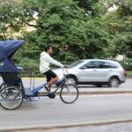 Central Park VIP Tour (All park tour up to 2 hour with unlimited stops) pedicab - Final Thoughts