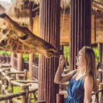 Central Park Zoo Skip-the-line Tickets & Private Transfers - Why Choose This Tour?