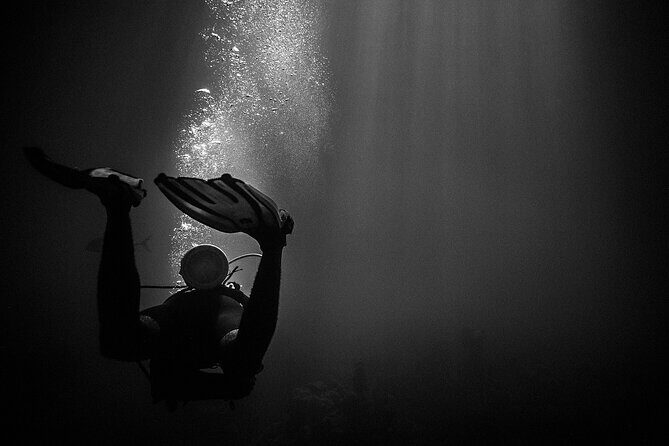 Certified Beach Night Dive - Who Should Consider This Tour?