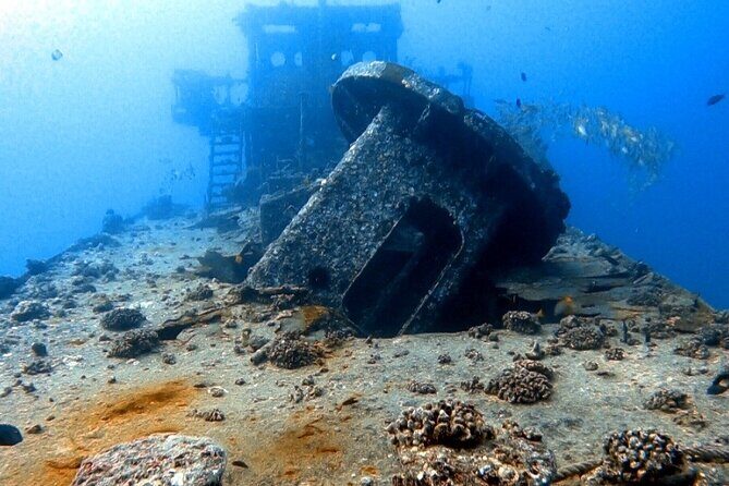 Certified Diver: 2-Tank Deep Wreck and Shallow Reef Dive Off Oahu - Final Thoughts