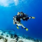 Certified Diving 2 Tanks in Cozumel - The Dive Itinerary: What to Expect
