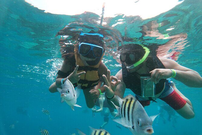 Chankanaab Park Admission + Welcome drink + Snorkeling - Who Will Love This Experience?