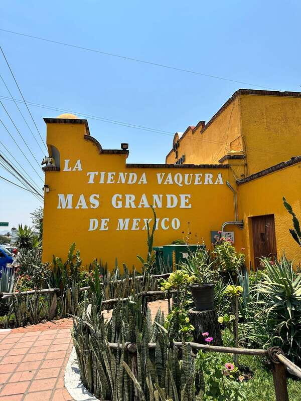 Chapala and Ajijic Tour from Guadalajara with 3 Potrillos - The Realities: What You Should Know