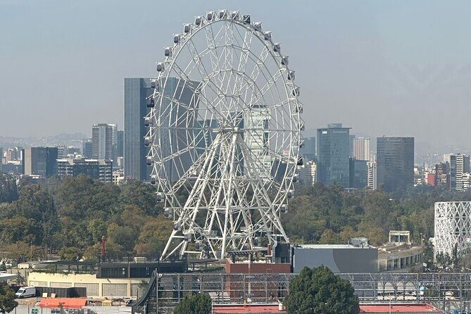 Chapultepec Park and Cable Bus Tour - Real-World Insights
