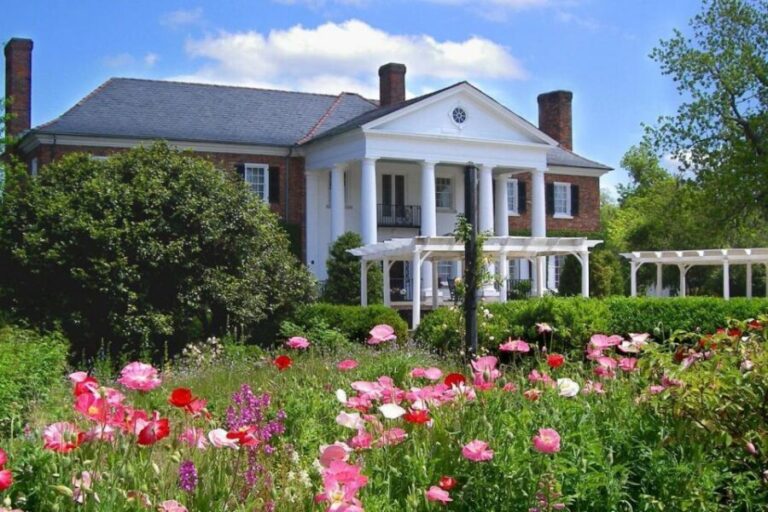 Charleston: Boone Hall & Historic City Tour Combo - Overall Impression: Who Will Love This Tour?